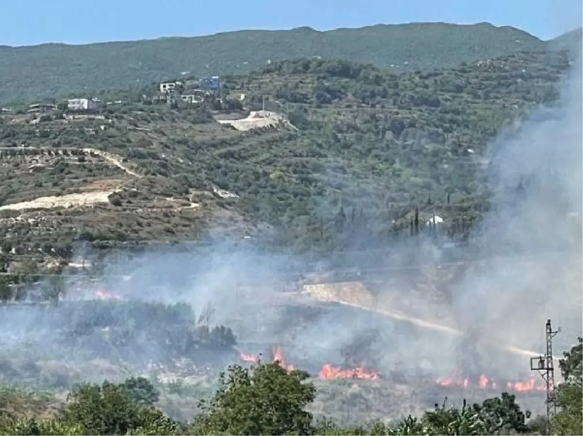 Son dakika: HATAY\'DA BAHÇE YANGINI