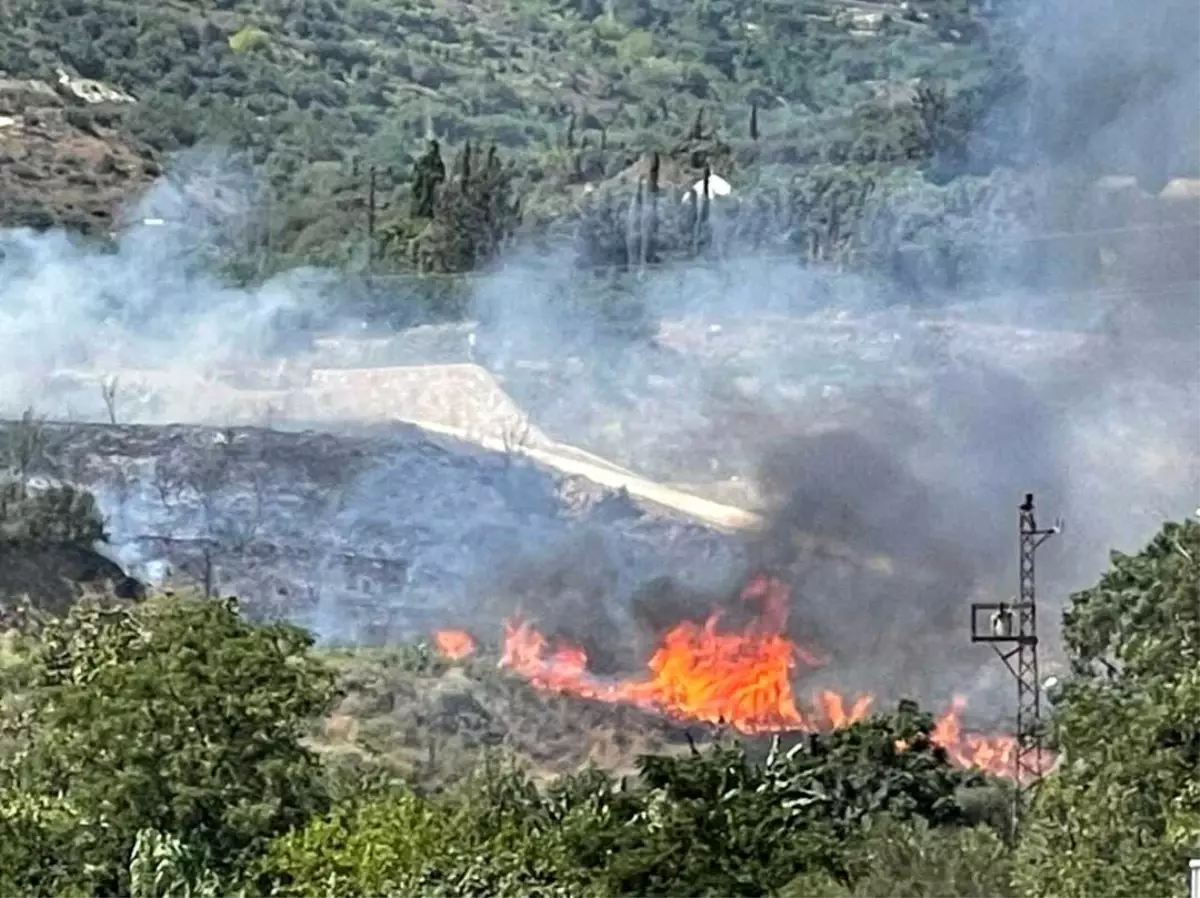 Son dakika haberleri! Hatay\'da bahçe yangını korkuttu