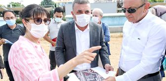 son dakika zir vadisi haberleri zir vadisi son dakika