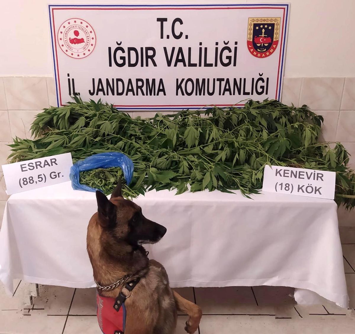 Iğdır\'da uyuşturucu tacirlerine ve kaçakçılara geçit yok