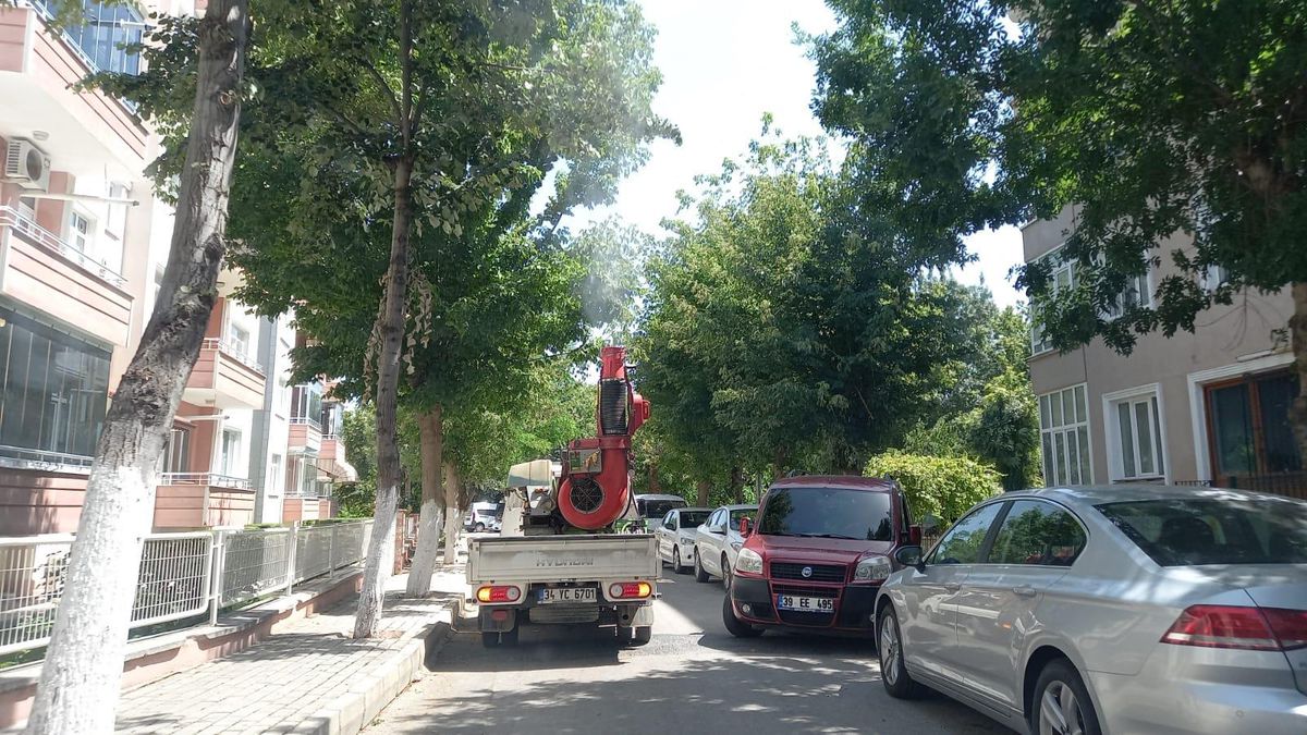 Kırklareli\'nde "dantel böceği"ne karşı ilaçlama çalışması başlatıldı
