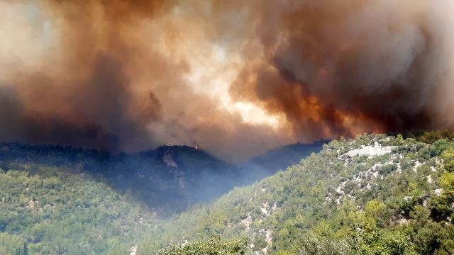 Manavgat'ta vatandaşlar su şişeleriyle alevlere müdahale ediyor