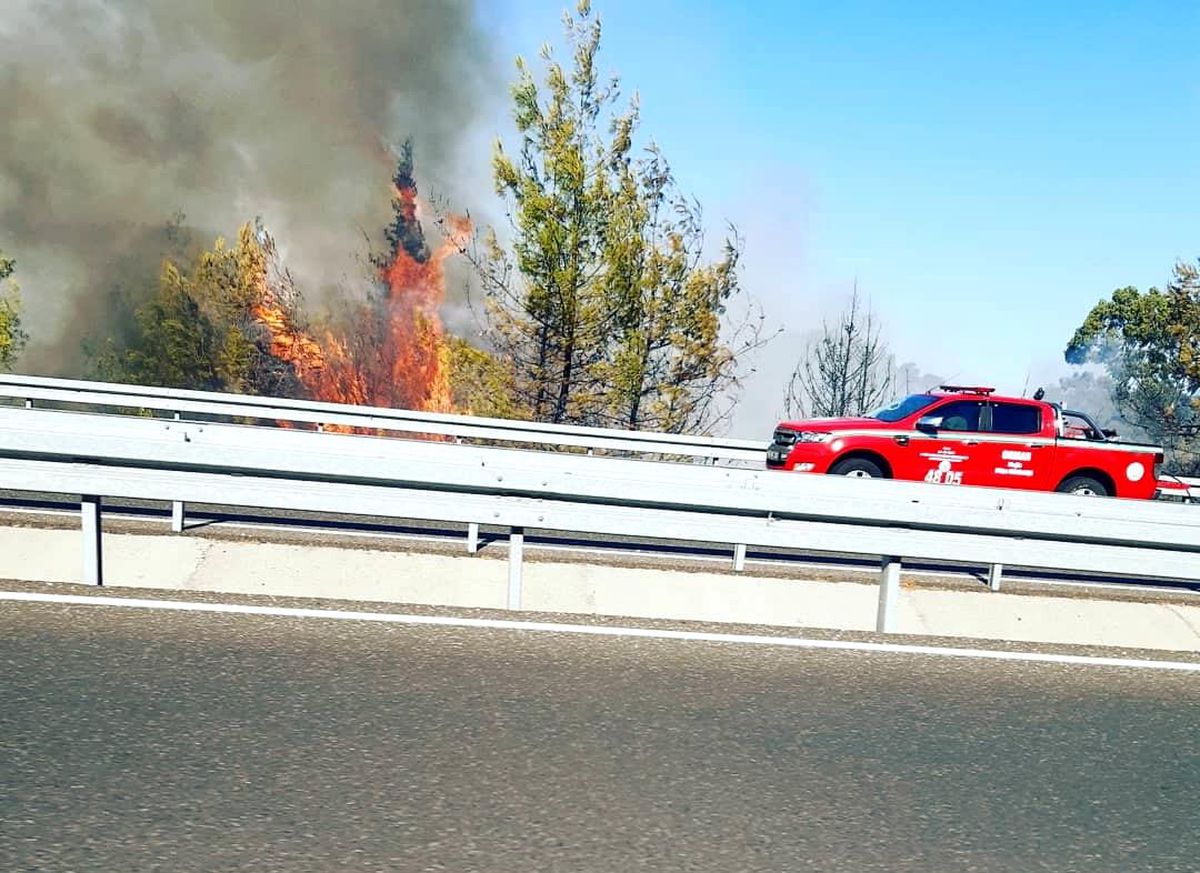 Ortaca\'da ormanlık alanda çıkan yangın kontrol altına alındı