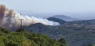 Osmaniye'de orman yangını (1)
