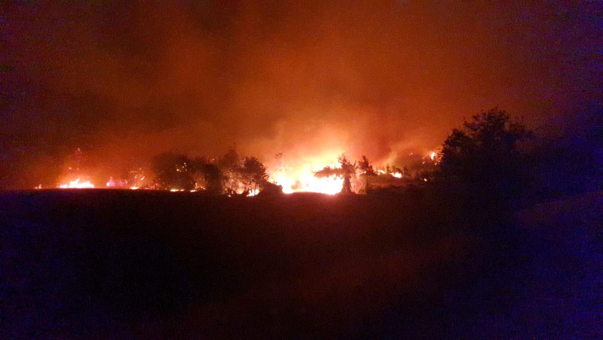 Son dakika haber... Osmaniye\'deki orman yangınına karadan müdahale devam ediyor