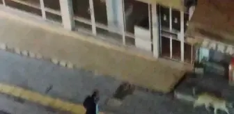 Otomobilin üzerine çıktı, köpekleri çakmakla uzaklaştırmaya çalıştı