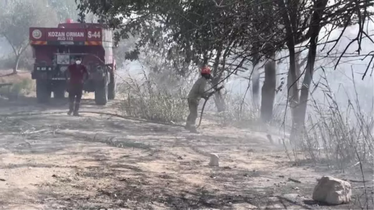 Son dakika... Sarıçam\'da çıkan orman yangını kontrol altına alındı