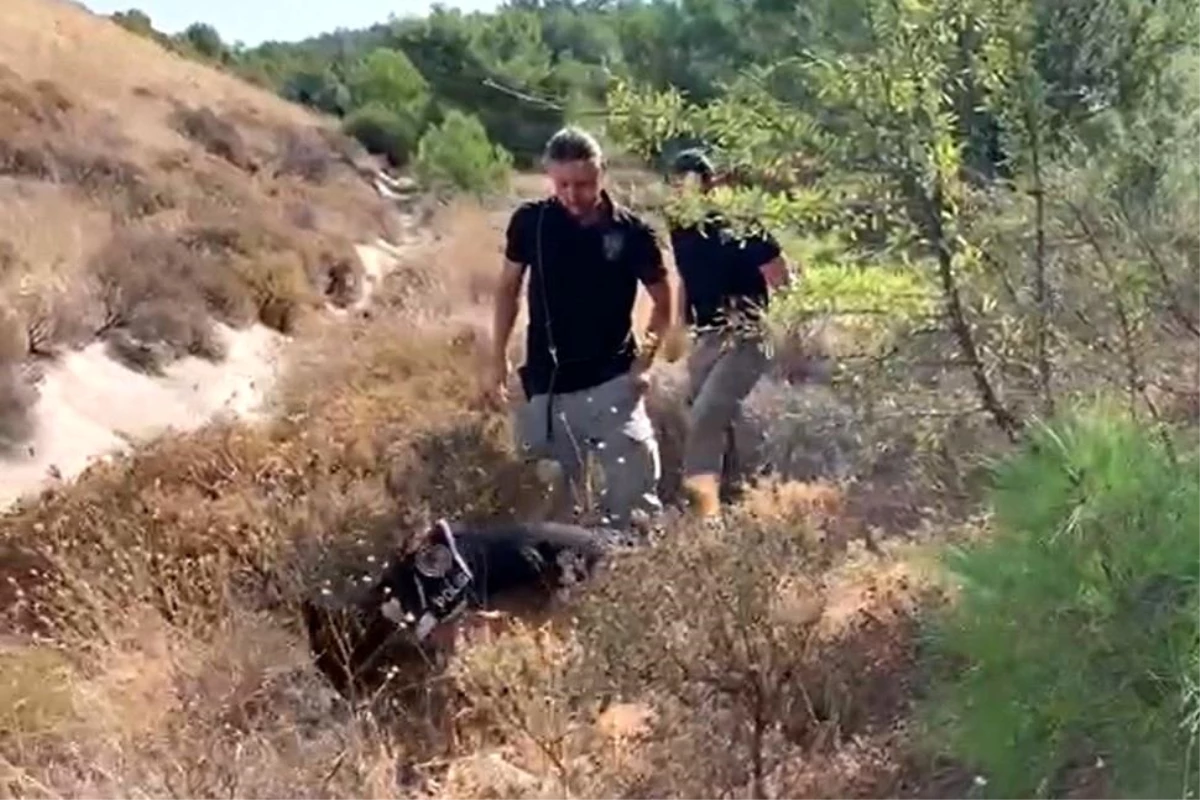 15 yıl sonra ortaya çıkan korkunç cinayet arsa yüzünden işlenmiş