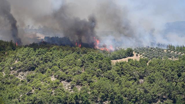 Adana ve Kütahya'daki orman yangınları kontrol altına alındı