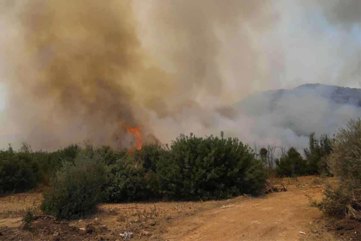 Adana Yüreğir\'de makilik ve ormanlık alanda çıkan yangına müdahale ediliyor