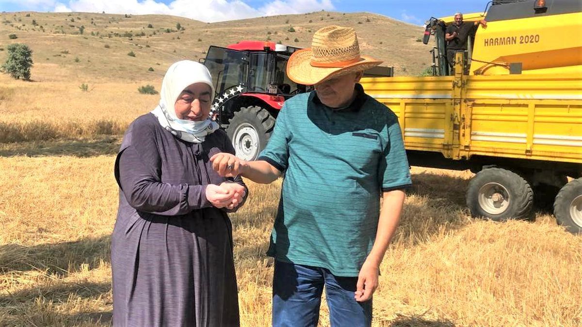 AK Parti Genel Başkanvekili Binali Yıldırım köyünde arpa hasadı yaptı