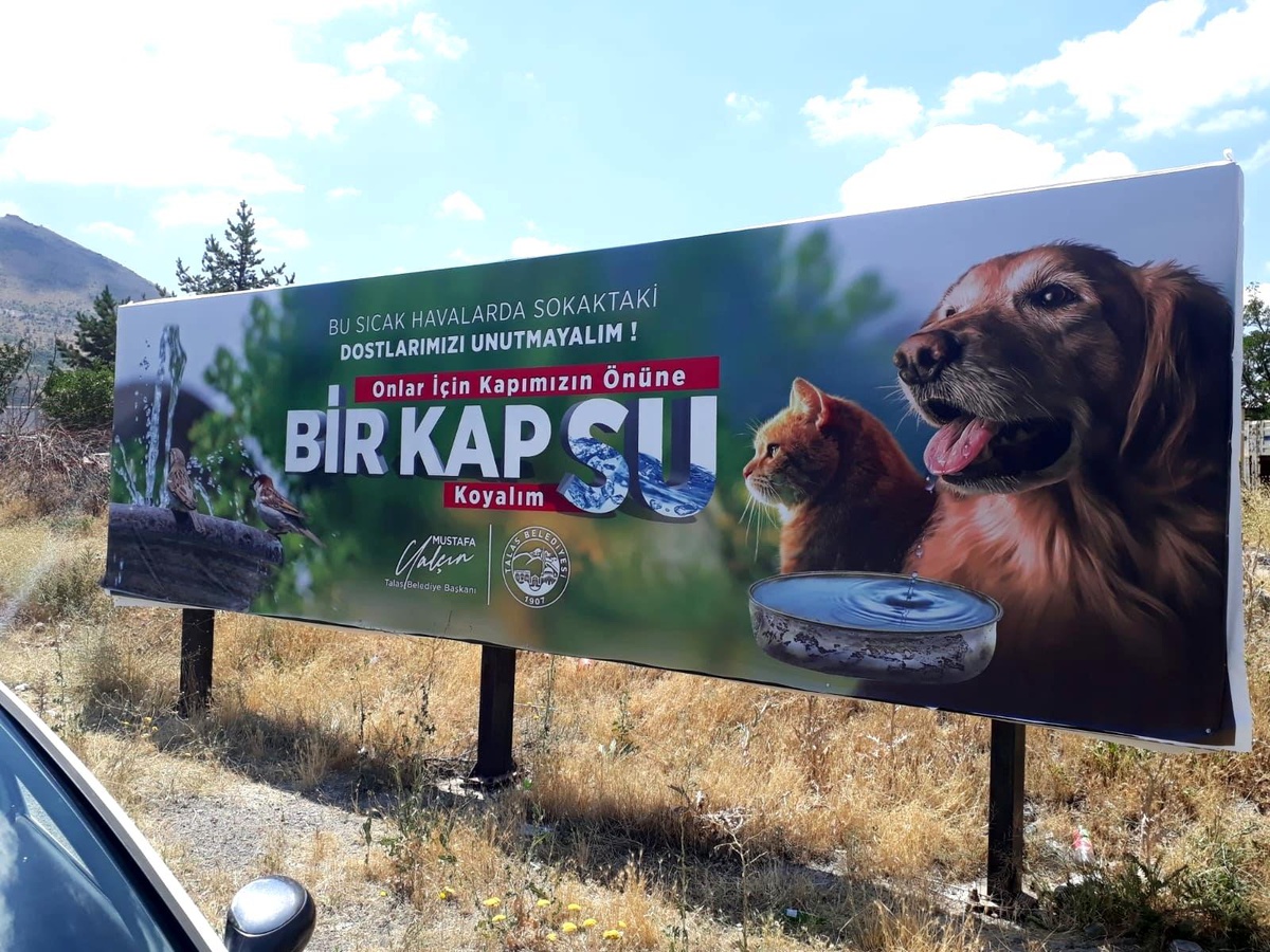 Bilboradlardan sokak hayvanları için su çağrısı