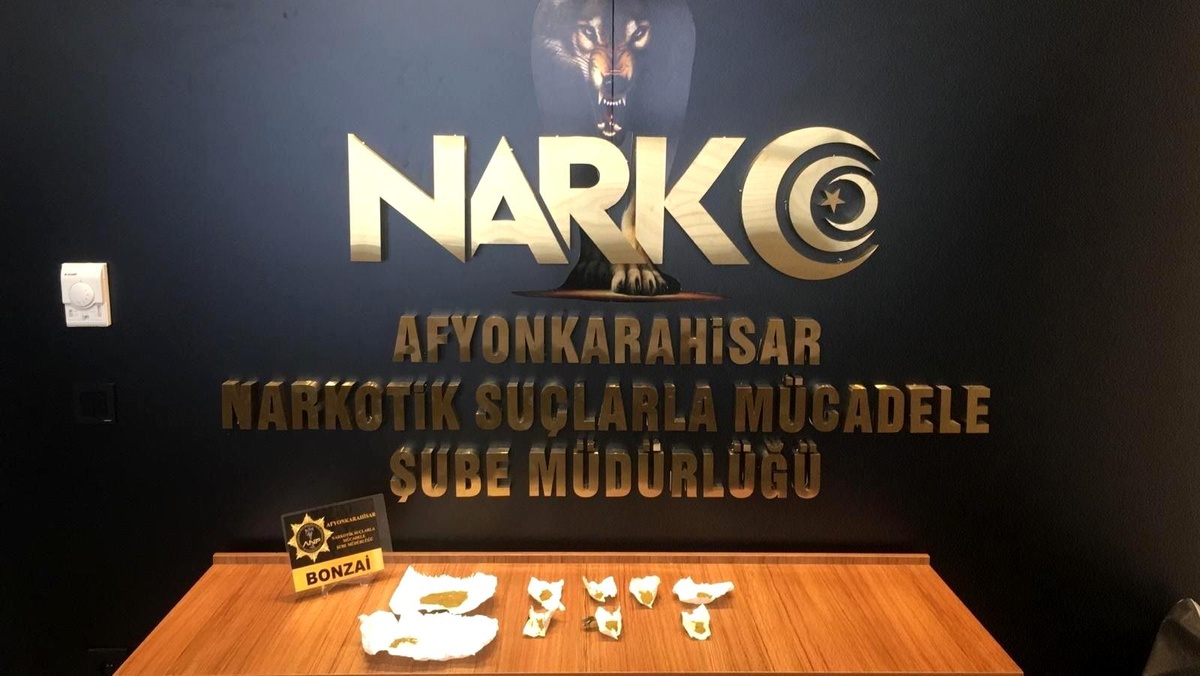 Son dakika haber... Bonzai ile yakalanan şahıs gözaltına alındı