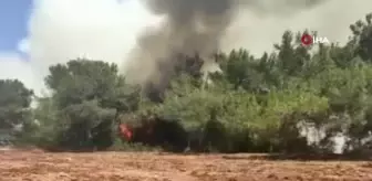 Ceyhan'daki orman yangınına müdahale sürüyor