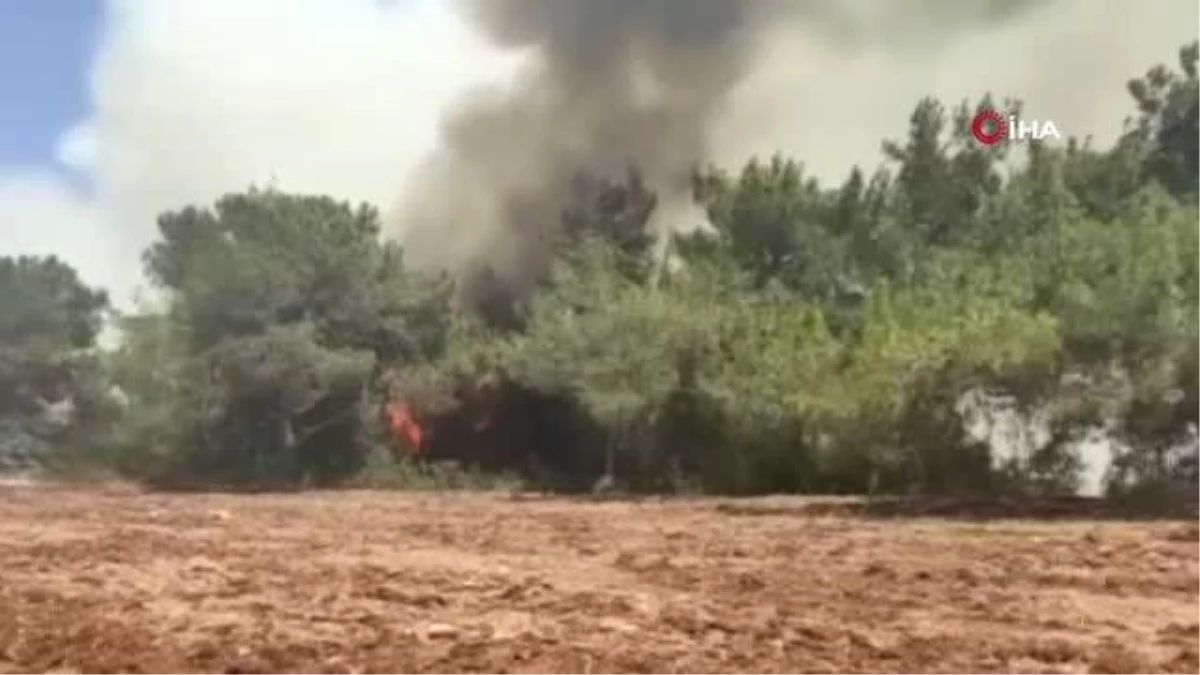 Ceyhan\'daki orman yangınına müdahale sürüyor