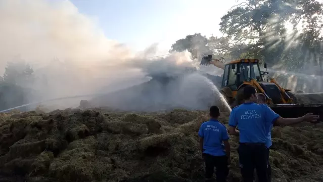 Çiftçinin bir yıllık emeği küle döndü