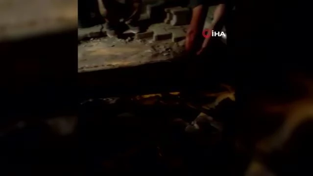 Diyarbakır'da çukura düşen yavru köpeğin annesi, yavrusu çukurdan kurtarılana kadar bekledi