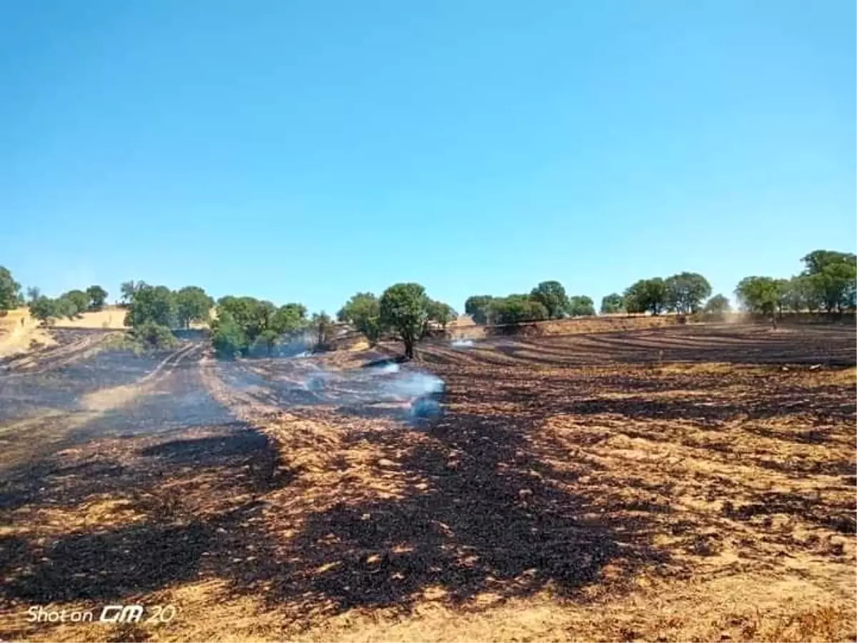 Son dakika haberi... Gediz\'de arazi yangını