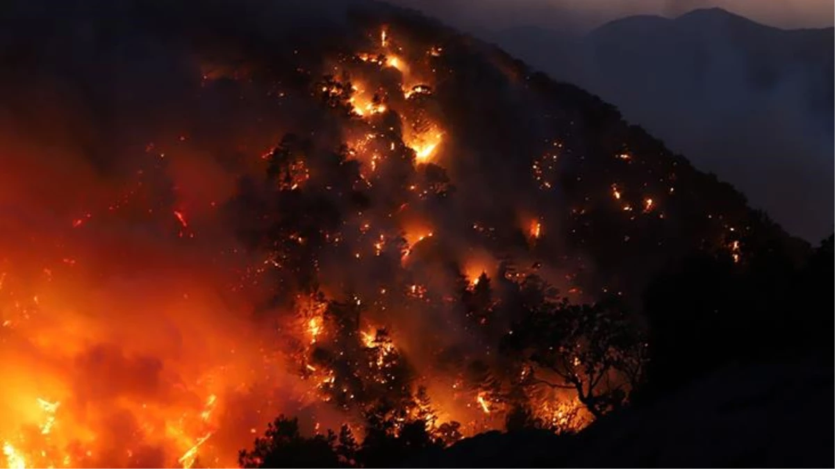 Orman yangınları diğer şehirleri de tedirgin etti! İzmir ve Balıkesir\'de ormanlara giriş yasaklandı