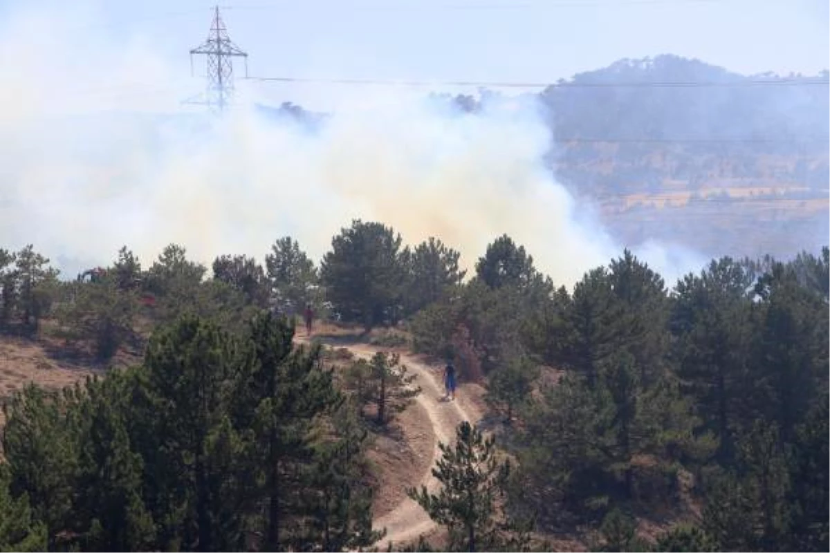Son dakika haberi! Karaman\'da çıkan yangında 5 hektar alan zarar gördü