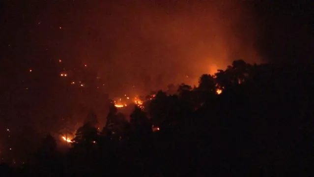 yahyali daki milli park yangininda alevler geceyi aydinlatti son dakika