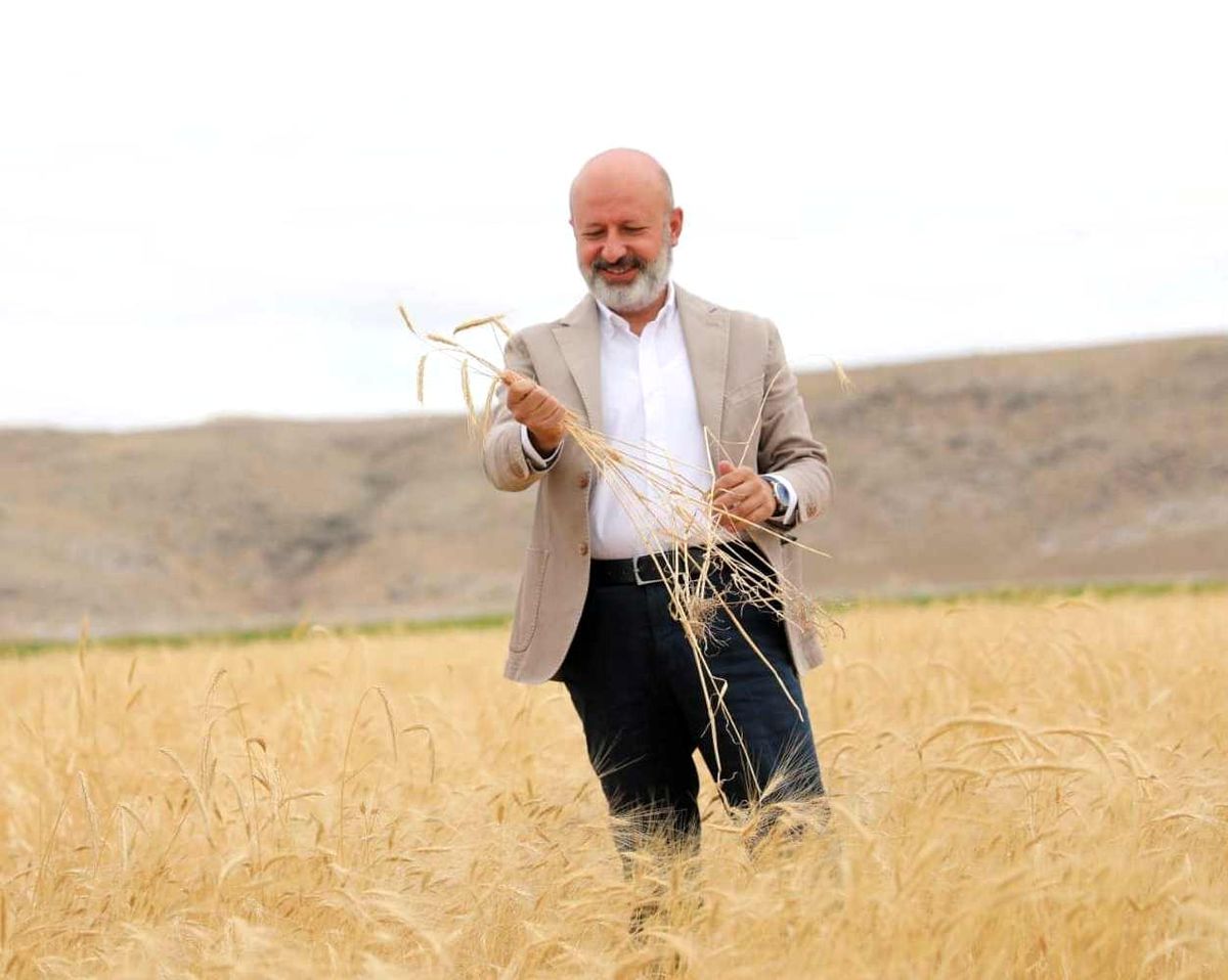 Kocasinan\'da ata yadigarı ve 28 kromozomlu gacer buğdayının hasadı yapıldı