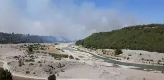 Kozan'da ikinci gününde devam eden orman yangının acı tablosu sabah ortaya çıktı (2)