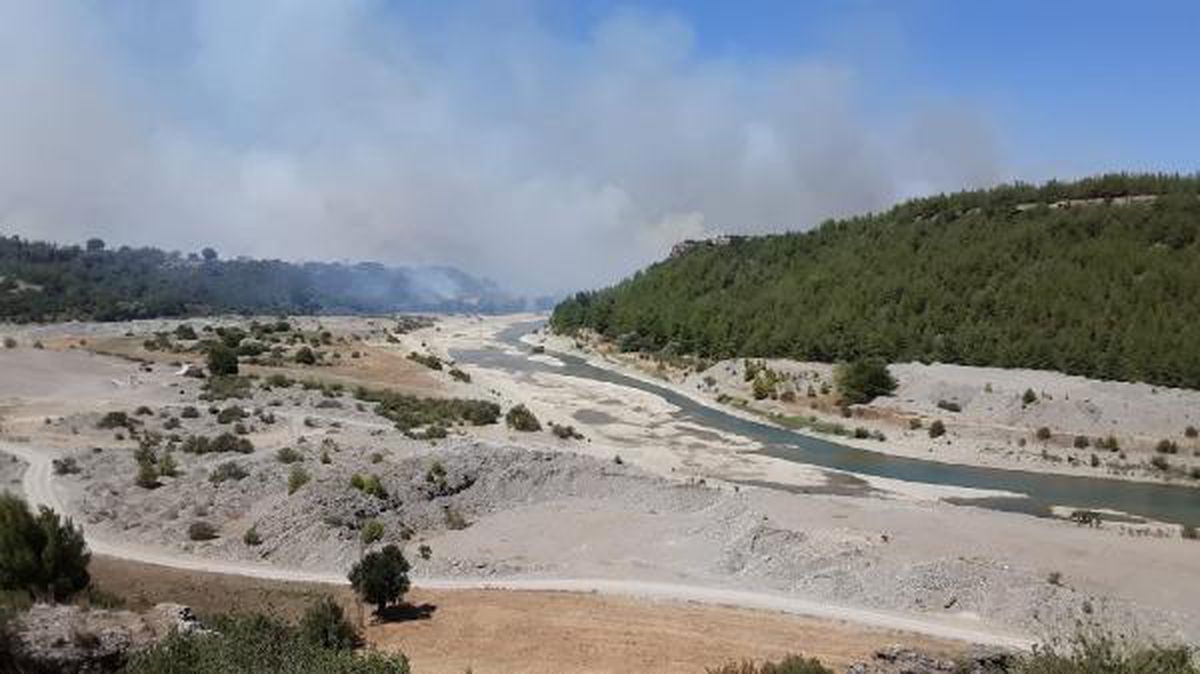 Kozan\'da ikinci gününde devam eden orman yangının acı tablosu sabah ortaya çıktı (2)
