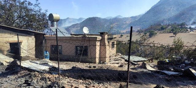 Kozan'daki yangında inekler telef oldu