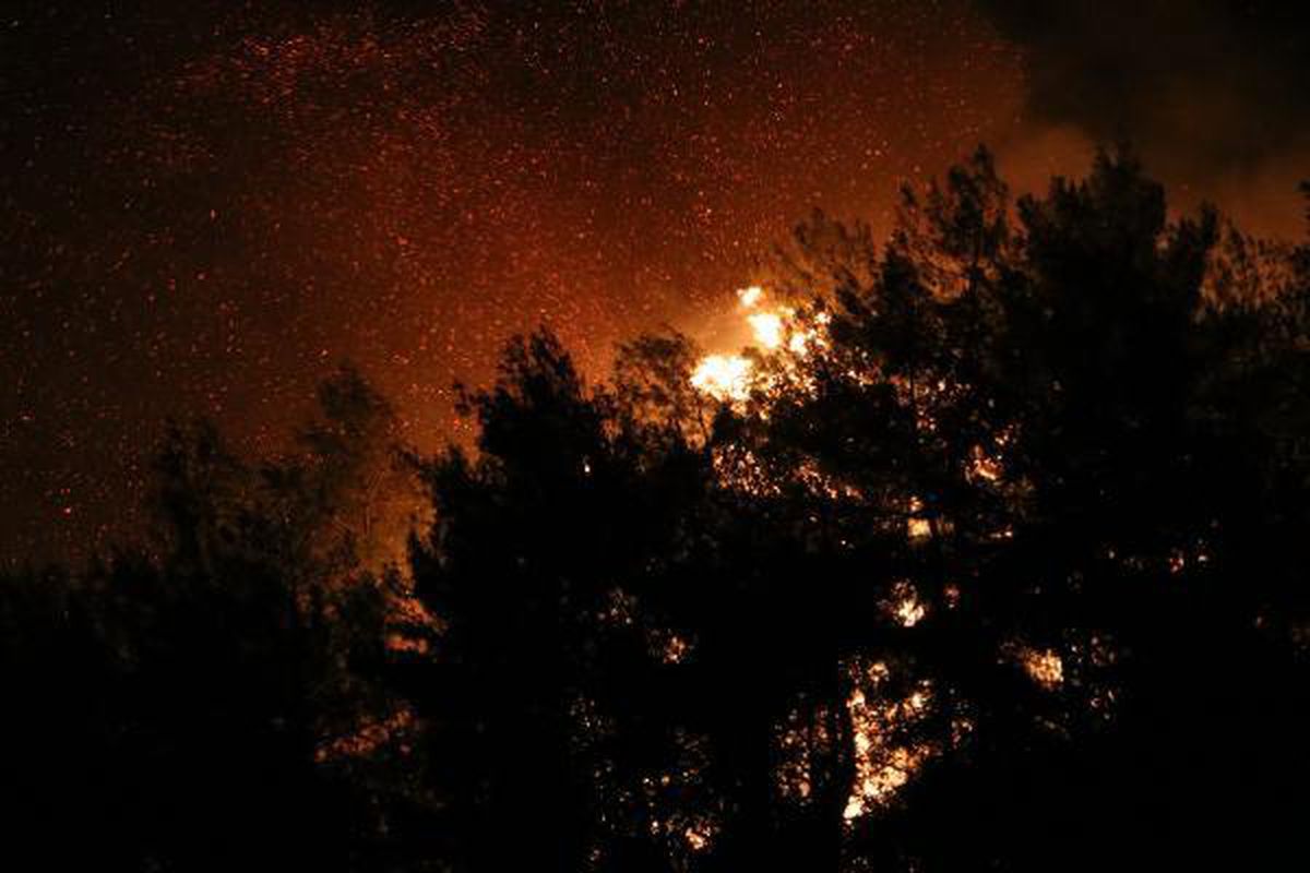 Son dakika: Manavgat\'ta 4 ayrı noktada orman yangını (17)