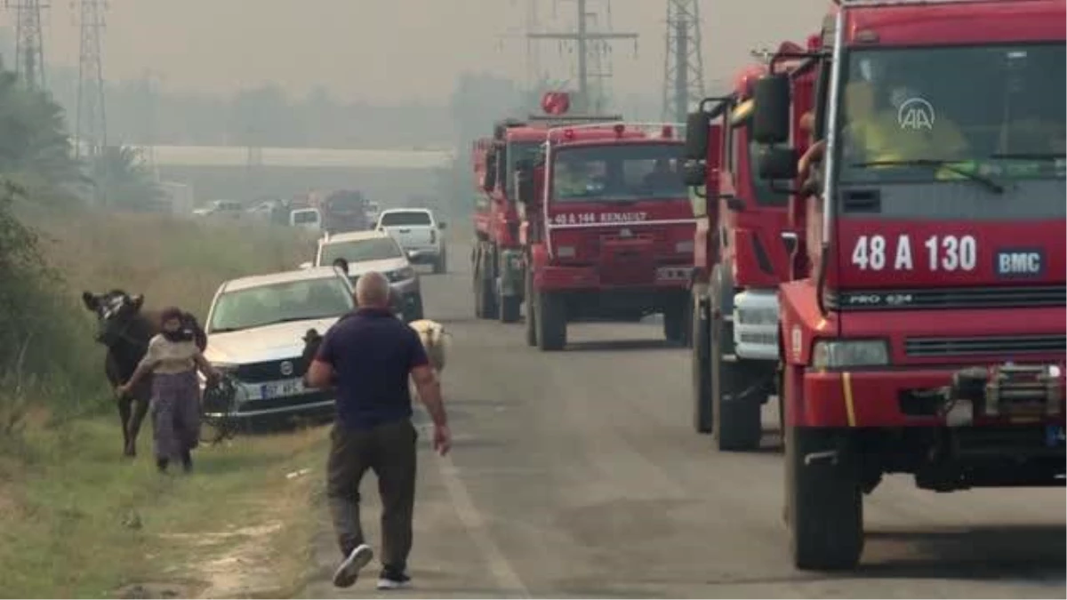 Manavgat\'taki orman yangınına havadan ve karadan müdahale sürüyor - Karaöz mahallesi (2)