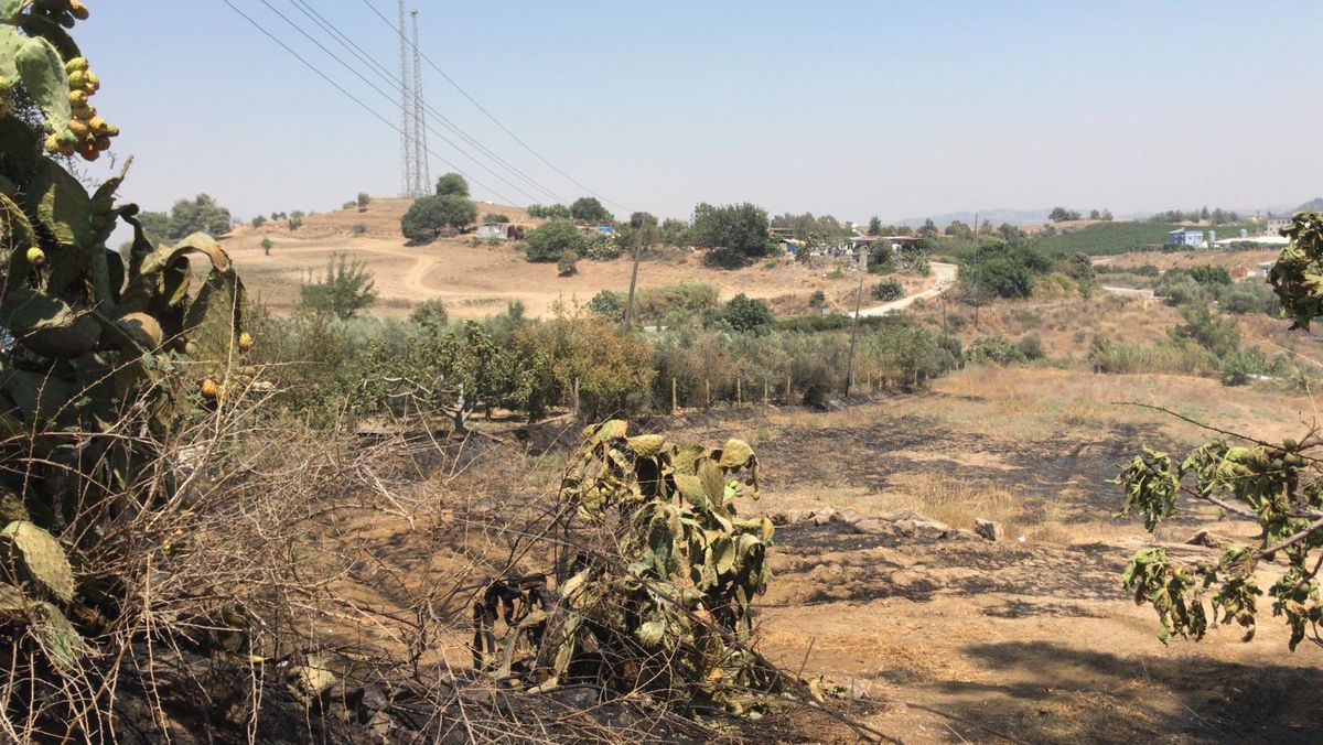 Mersin\'de tarım arazisinde çıkan yangın söndürüldü