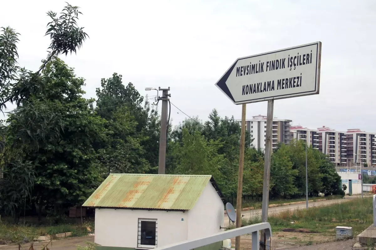 Mevsimlik fındık işçileri için pandemi koşullarına uygun konaklama merkezi hazırlandı