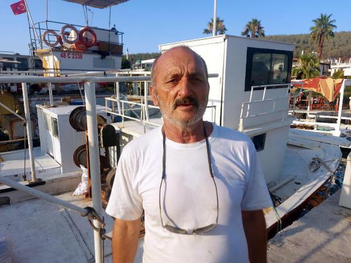Milas\'ta orman yangını; alevler iki otelin bahçesine kadar dayandı (3)