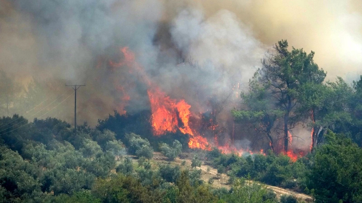 Son dakika: Osmaniye\'de çıkan orman yangını devam ediyor