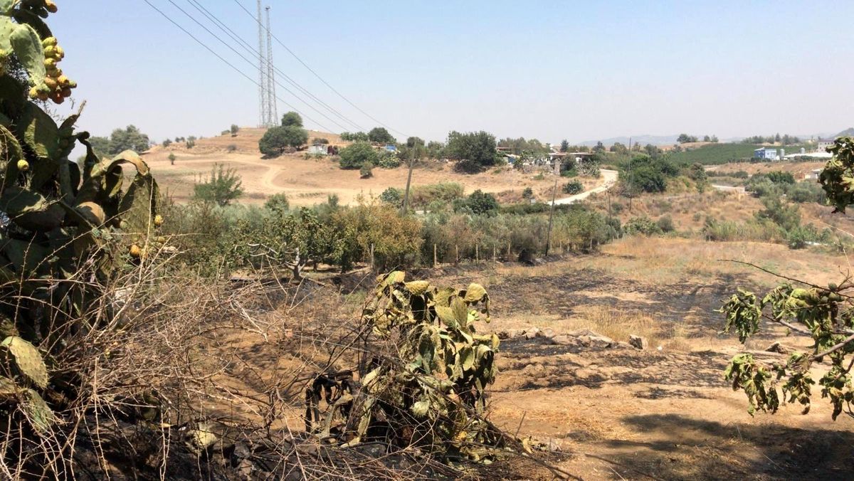Tarsus\'ta bahçedeki yangında 43 ağaç zarar gördü