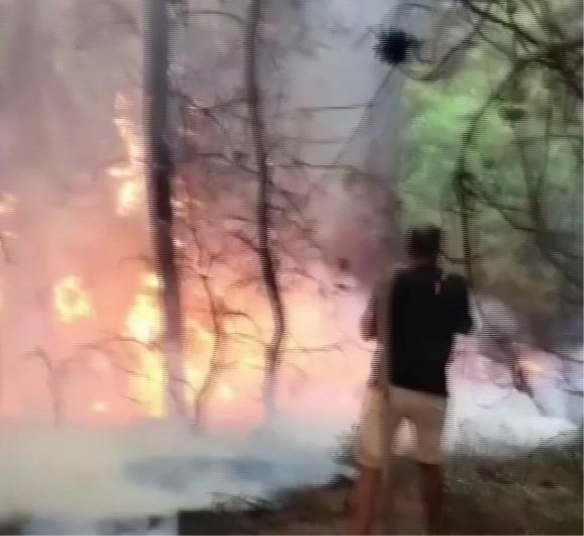 Son dakika haberi | Tatile giden Adanalı gençler, yangına müdahale etti