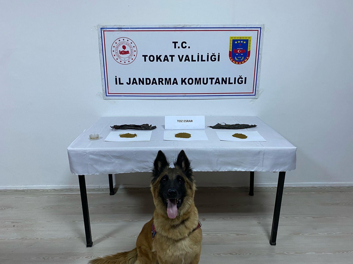 Tokat\'ta uyuşturucu operasyonlarında gözaltına alınan 11 şüpheliden 1\'i tutuklandı