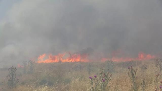 Türkiye için felaket günü! Antalya'dan sonra 5 şehirde daha yangın çıktı