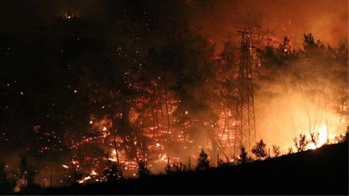 Türkiye yanıyor! Antalya\'dan sonra 5 şehirde daha yangın çıktı