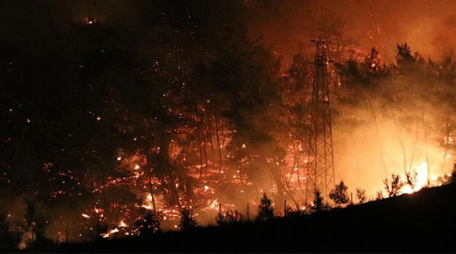 Türkiye yanıyor Antalya&#39;dan sonra 5 şehirde daha yangın çıktı - Son Dakika