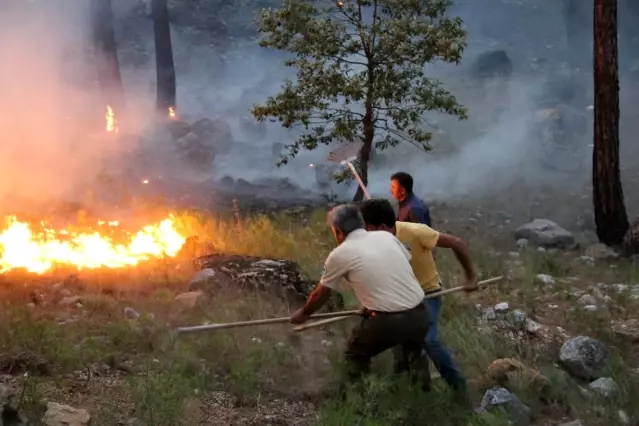 yahyali daki orman yangini devam ediyor son dakika