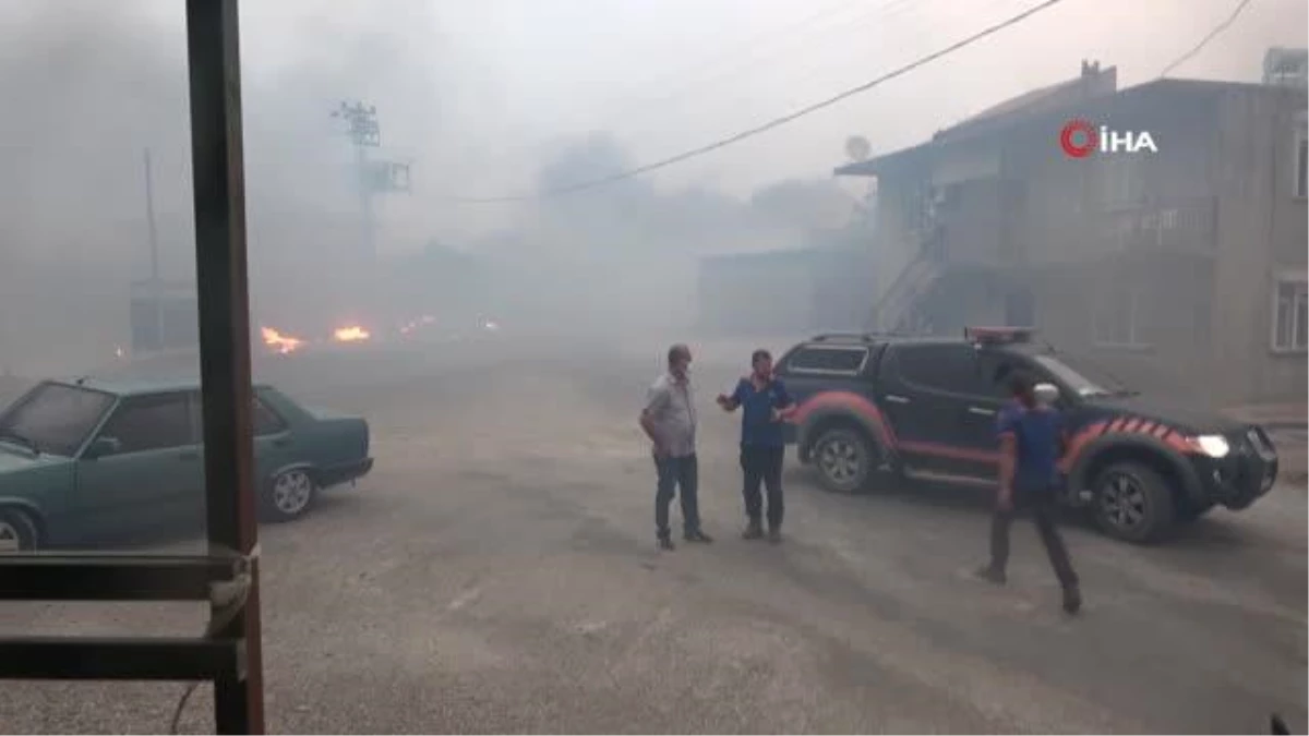 Yangın, Manavgat\'ı esir aldı...Vatandaşlar ve ekipler mahallelerde mahsur kalan hayvanları kurtarmak için seferber oldu