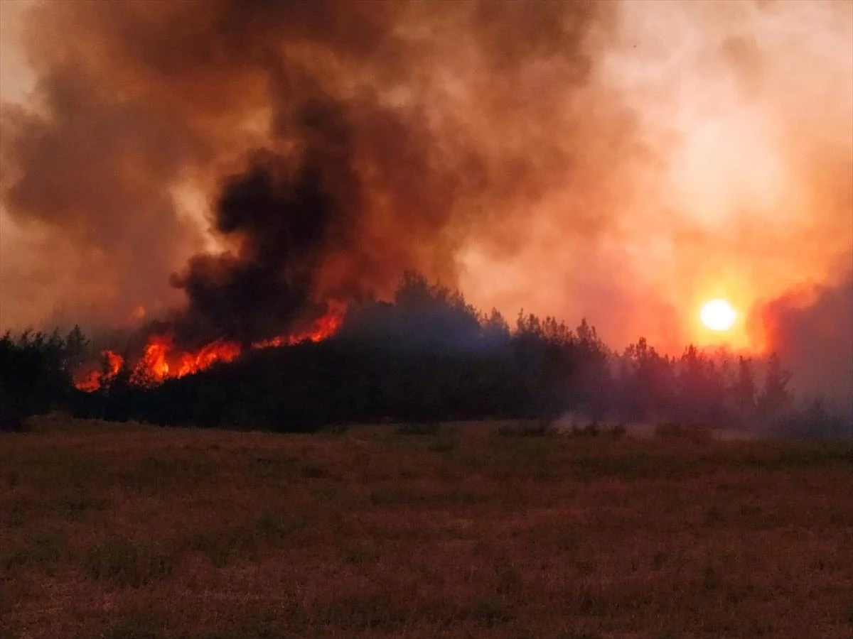 Adana Aladağ\'daki orman yangını iki ilçeye daha sıçradı