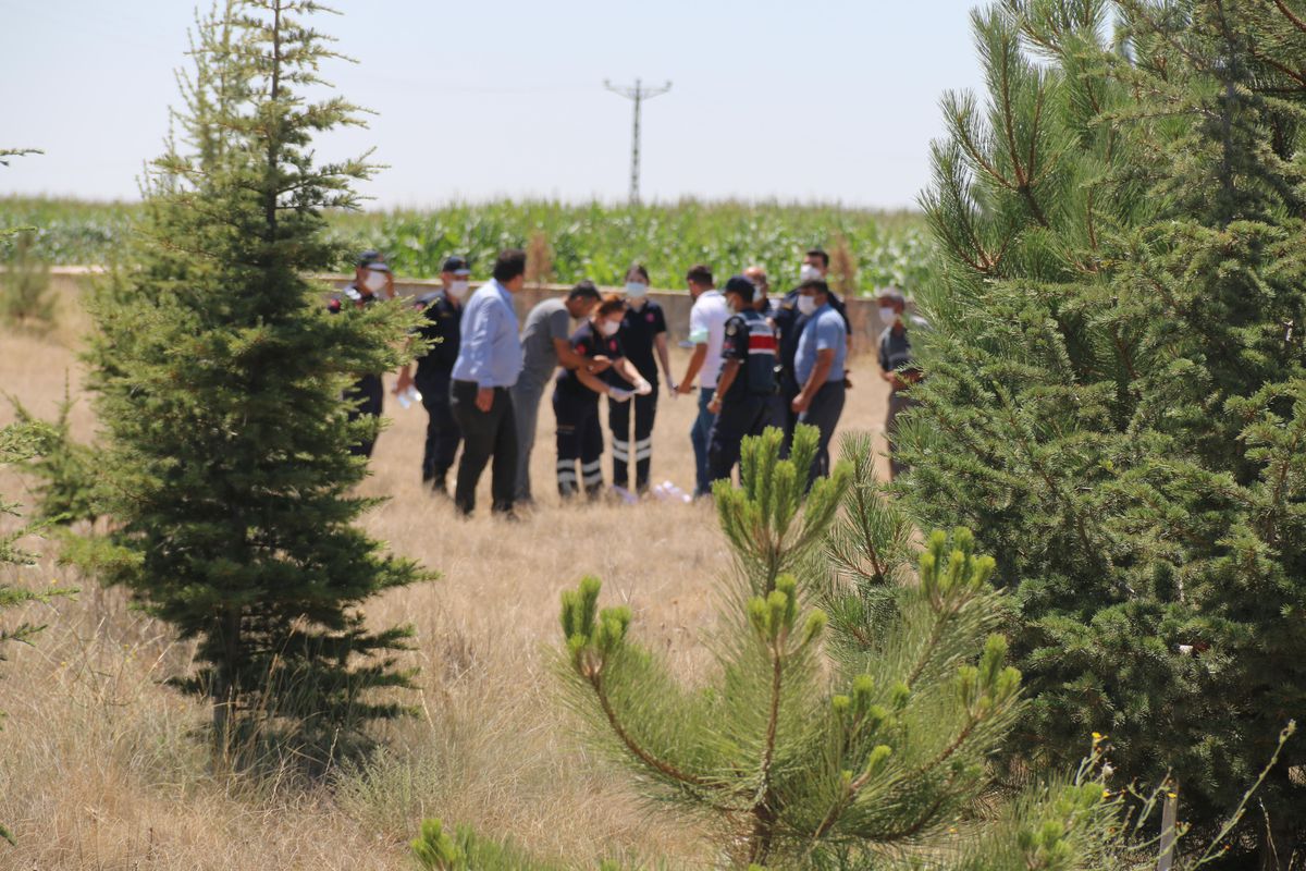 Son dakika haberleri! Aksaray\'da çocuk cesedi ihbarına giden jandarma köpek leşiyle karşılaştı