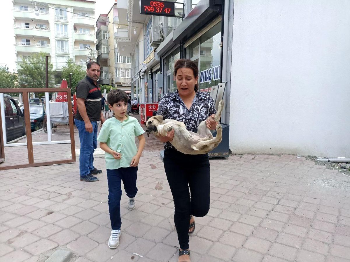 Araba çarpması sonucu yaralanan yavru köpeği kucağına alarak veterinere koşturdu