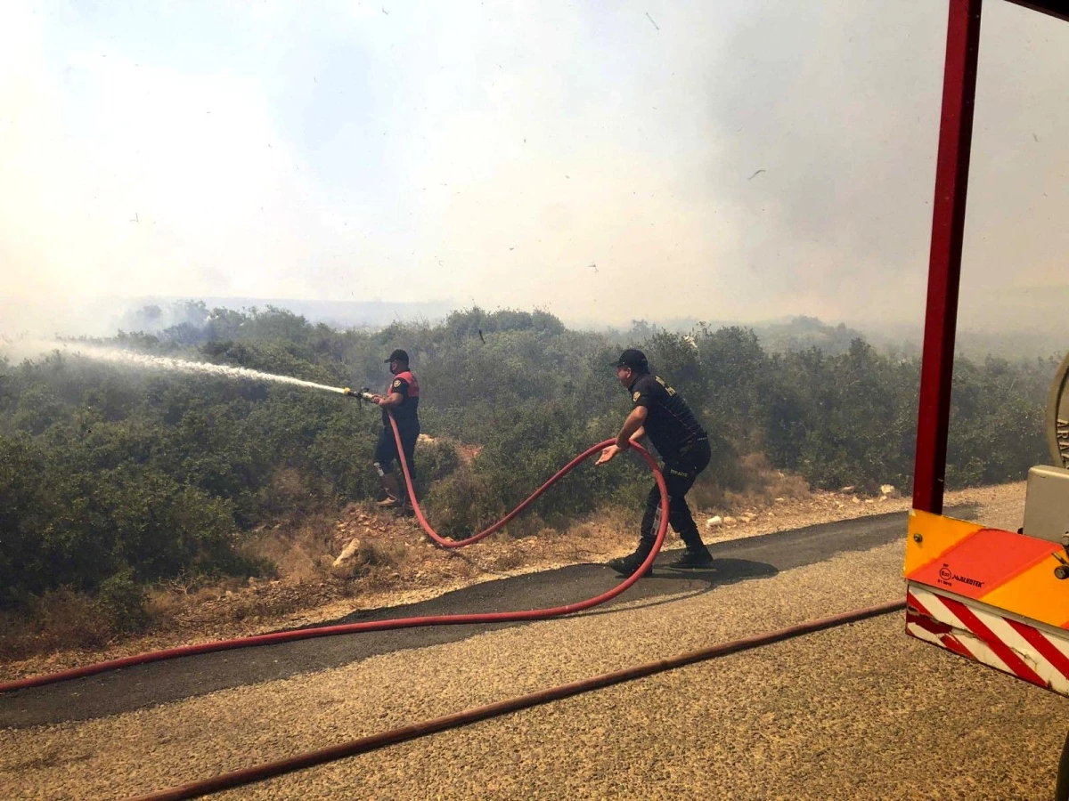 Son dakika... Aydın Büyükşehir Belediyesi gün boyu yangınlarla mücadele etti