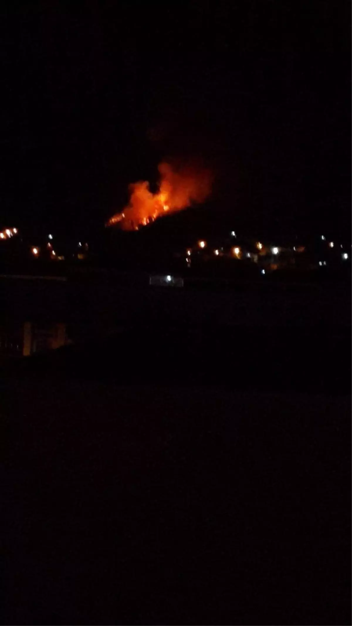 Bakan Pakdemirli, Manisa\'daki orman yangınının kontrol altın alındığını bildirdi