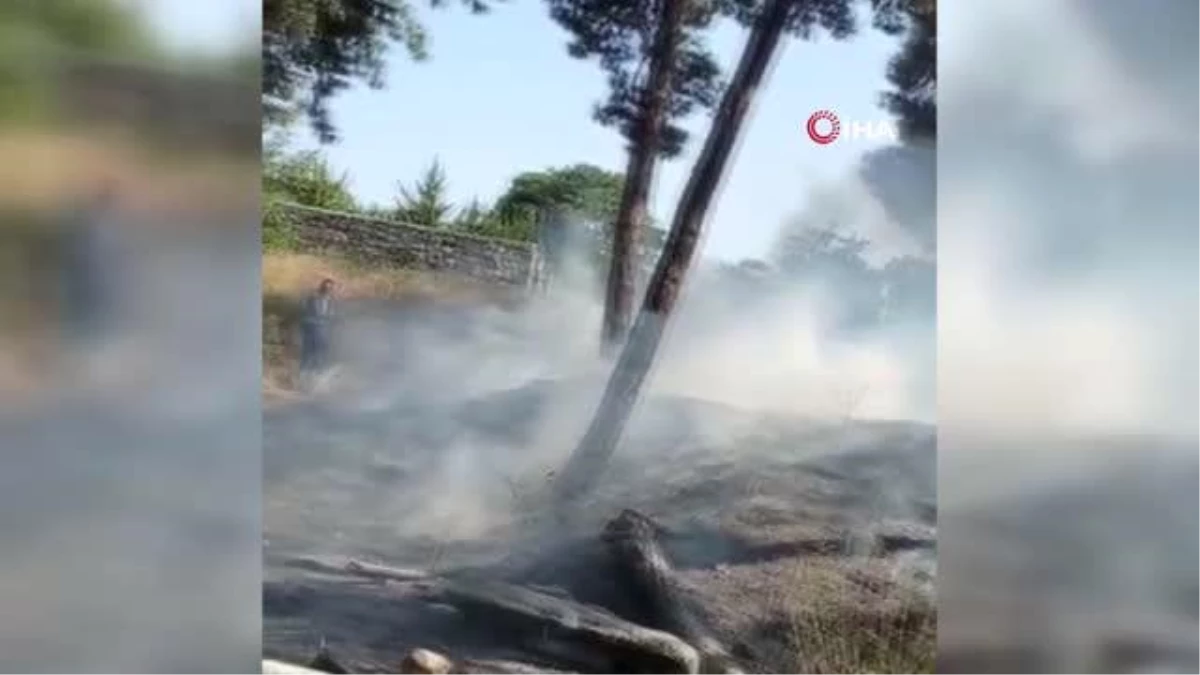 Bakırköy\'de ağaçlık alanda korkutan yangın
