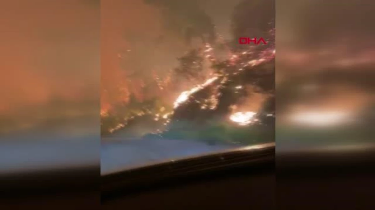 Manavgat\'taki yangınla ilgili belediye başkanından halka çağrı: Bu bir savaş